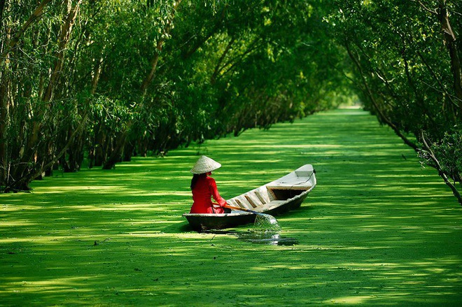 10 thang canh du lich hap dan nhat Viet Nam hinh anh 15 8. Đồng bằng sông Cửu Long. Là một bộ phận của châu thổ sông MeKong, còn được gọi là  đồng bằng Nam Bộ hoặc miền Tây Nam Bộ, tổng diện tích là 40.548,2 km vuông. Do có bờ biển dài và sông Mê Kông chia thành nhiều nhánh sông, kênh rạch, cù lao, đảo và quần đảo lớn nhỏ thích hợp cho loại hình du lịch sinh thái, trải nghiệm và khám phá.